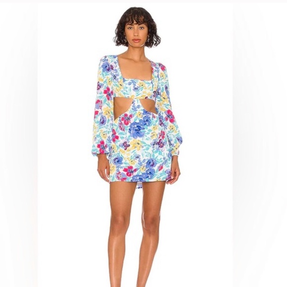 COPY - Never worn more to come sonya dress - Picture 2 of 2